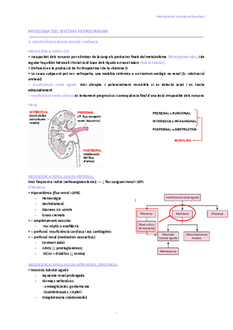 3.-Insuficiencia-renal-aguda-i-cronica-i.-4.-Patologia-glomerular-i-sindrome-nefrotica.pdf