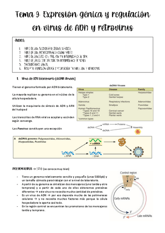 tema-9-virologia.pdf