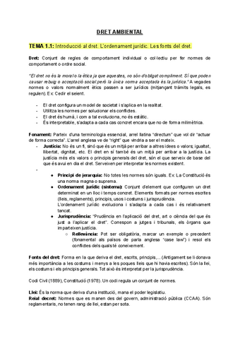 Dret-Ambiental-1.pdf