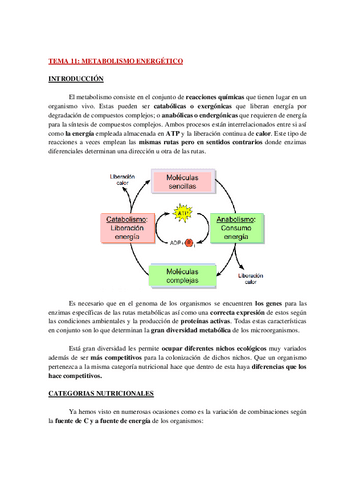 AP-FisyMet-MICRO-TEMAS-11-15-WH.pdf