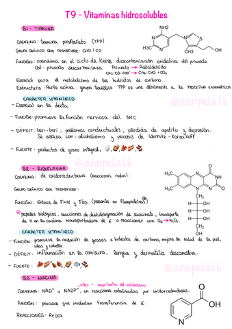 T9-Vitaminas-Hidrosolubles.pdf