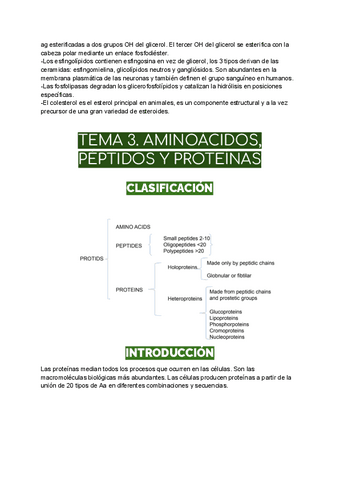 Tema-3.-Aminoacidospepticos-y-proteinas.pdf