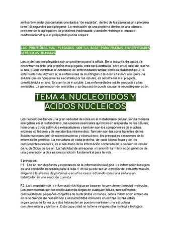 Tema-4.-Nucleotidos-y-acidos-nucleicos.pdf