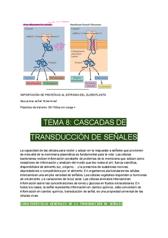 Tema-8.-Cascada-de-transduccion-de-senales.pdf