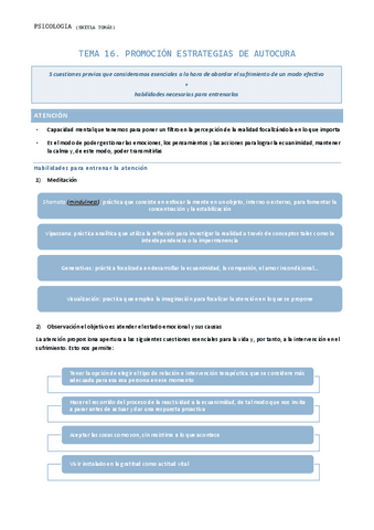 TEMA-16.-Promocion-estrategias-de-autocura.pdf