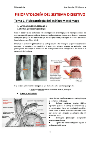 Fisiopatologia-del-Sistema-Digestivo.pdf