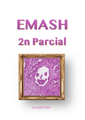 Resum-EMASH-2n-Parcial.pdf