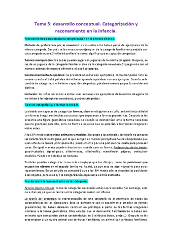 Desarrollo-cognitivo-Tema-5-resumido.pdf