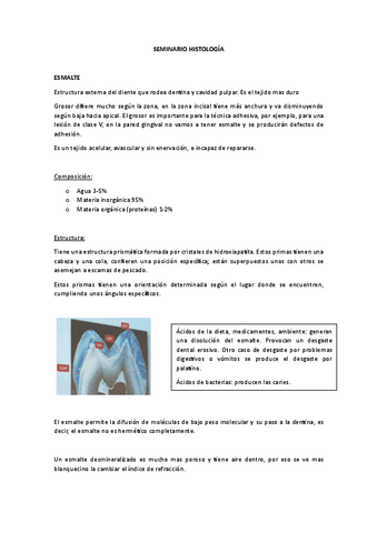 Seminario-histologia.pdf