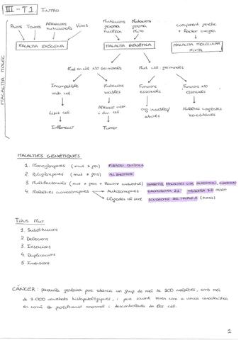 Resums-Bloc-III-PMDB.pdf