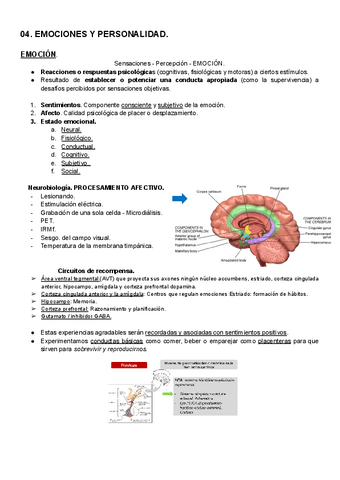 Emocion-y-personalidad..pdf