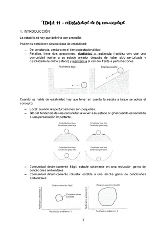 TEMA-11-ECO-II.pdf