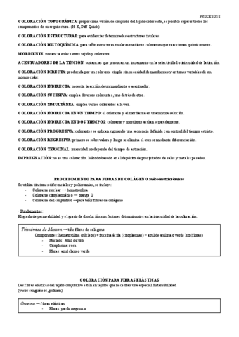 PROCESOS-8.pdf