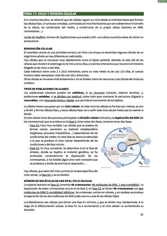 Ciclo-y-Division-celular.pdf