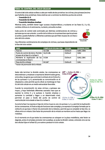 Control-del-Ciclo-Celular.pdf