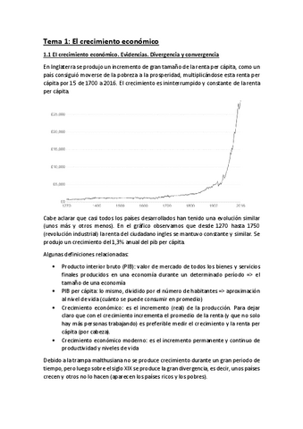 Tema-1-apuntes.pdf