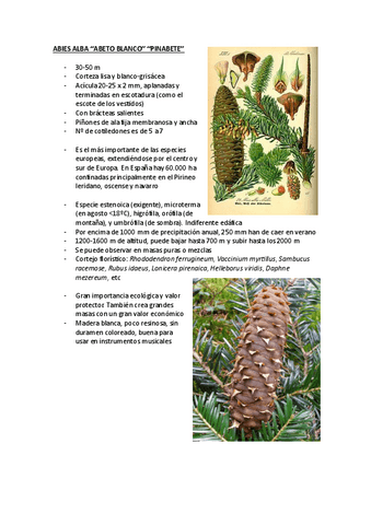 Botanica-Tema-1-4.pdf