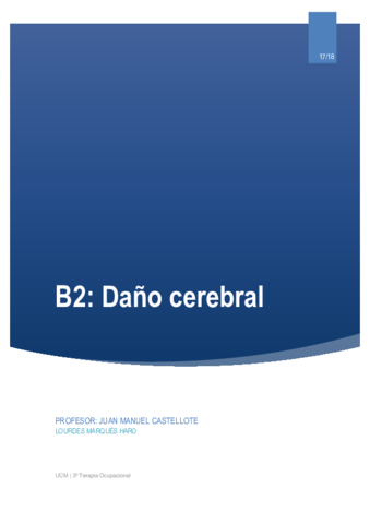B2. Daño cerebral.pdf