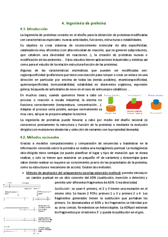4.-Ingenieria-de-proteinas.pdf