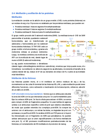 2.4.-Metilacion-y-acetilacion.pdf