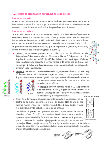 1.2.-Estrcuturas-de-las-proteinas.pdf