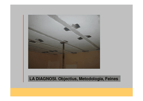 1La-metodologia-de-la-diagnosi.pdf