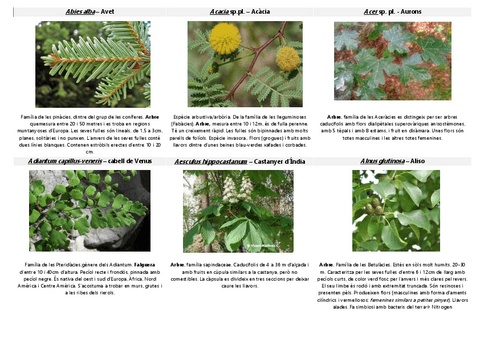 VISUM-BOTANICA.pdf