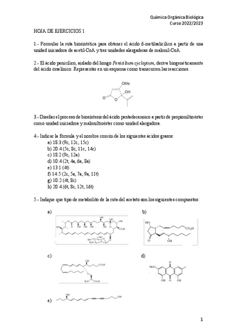 HOJA-DE-EJERCICIOS-1-2022-2023.pdf