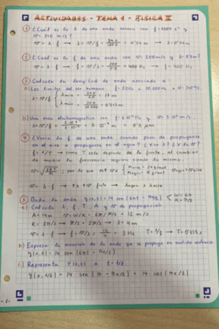 ActividadesFisicaII.pdf