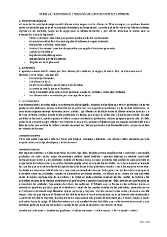 unidad-14.pdf