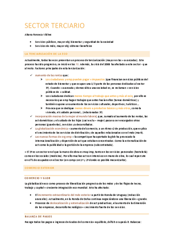 SECTOR-TERCIARIO.pdf