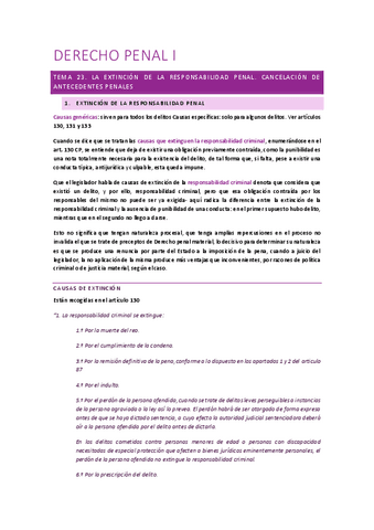 TEMA-23-DERECHO-PENAL-I.pdf