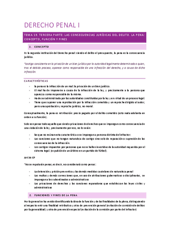 TEMA-19-DERECHO-PENAL.pdf