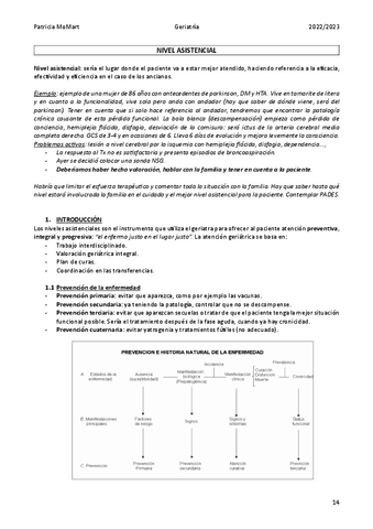 Nivel-Asistencial.pdf