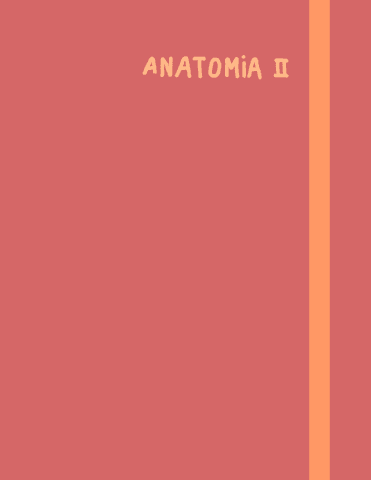apuntes-ipad-anato-ii-eusk.pdf