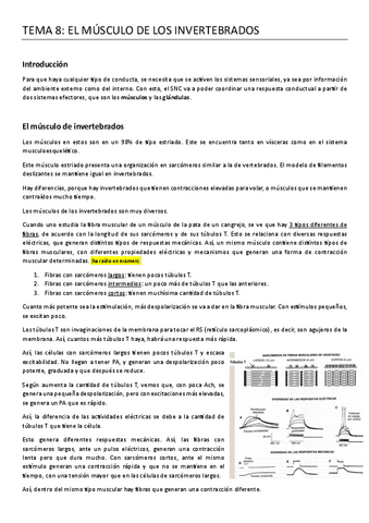 8.-EL-MUSCULO-DE-LOS-INVERTEBRADOS.pdf
