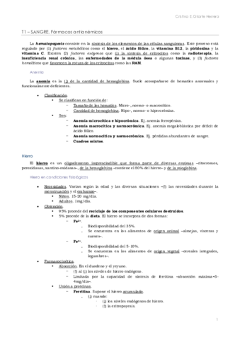FG2. Cristina.pdf