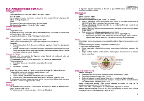 Apunts-Obstetricia.pdf