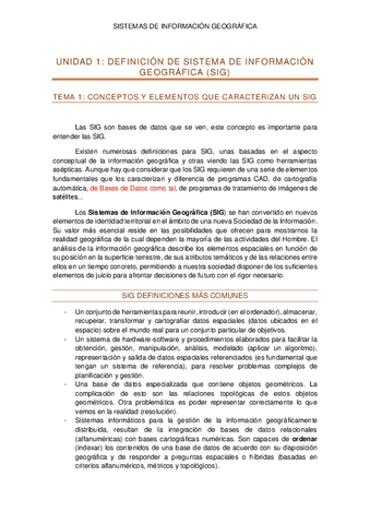 TEMA-1-SIG.pdf