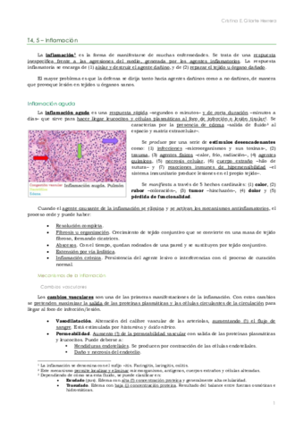AP. T4-5 Inflamación. Cristina.pdf