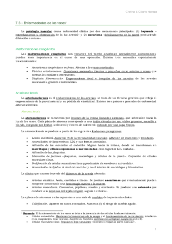 AP. T13-14 Sistema circulatorio. Cristina.pdf