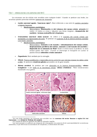AP. T24-25 SNC. Cristina.pdf