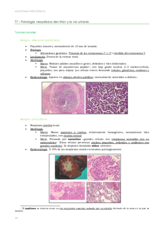 APE. T7-11. Cristina.pdf