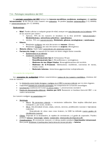 APE. T14-15.pdf