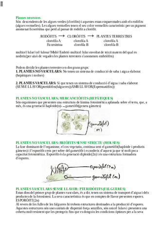 Biologia-Vegetal.pdf