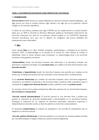 Tema-1-Los-derechos-humanos-como-producto-cultural.pdf
