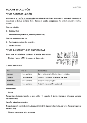 OCLUSION-MARIONA team Anglada.pdf