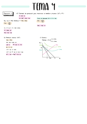 TODA-LA-PRACTICA-TEMA-4-MICRO.pdf