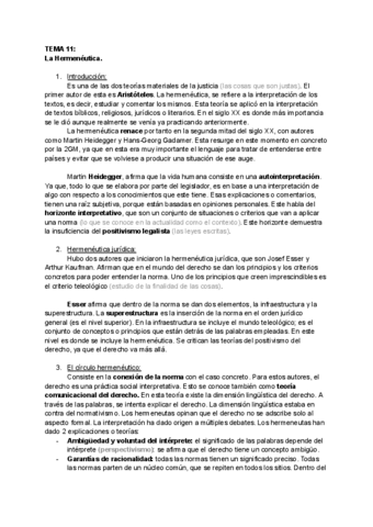 TEMA-11-TdD.pdf