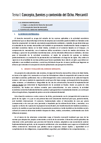 APUNTES-TODOS-LOS-TEMAS-MERCANTIL.pdf